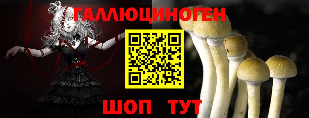 Псилоцибиновые грибы ЛСД Трёхгорный