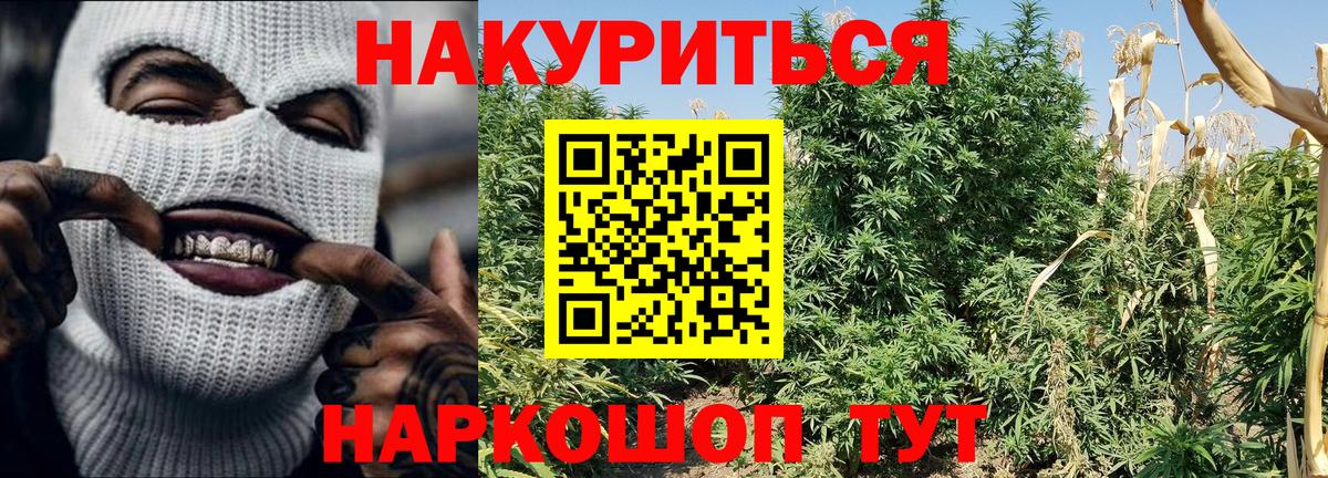 Бошки марихуана индика Трёхгорный